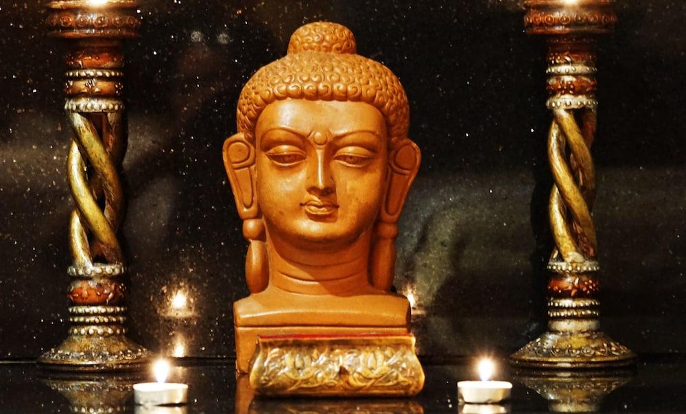 Taj Chandīgarh מראה חיצוני תמונה The Buddha